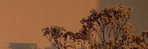 JaneCeja's profile banner image