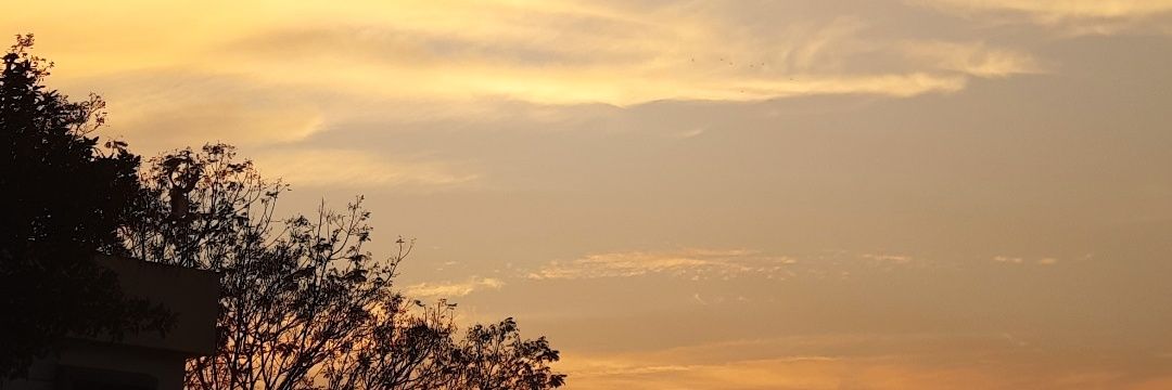 Nisarga26's profile banner image
