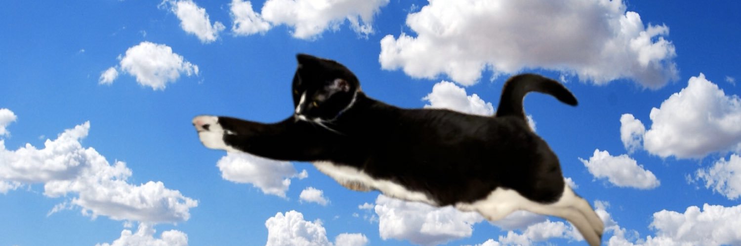 ItIsJustPedro's profile banner image