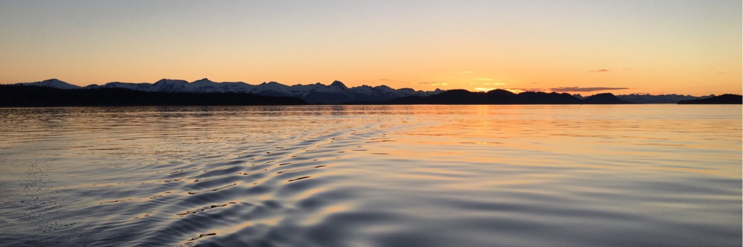 sschauwecker's profile banner image