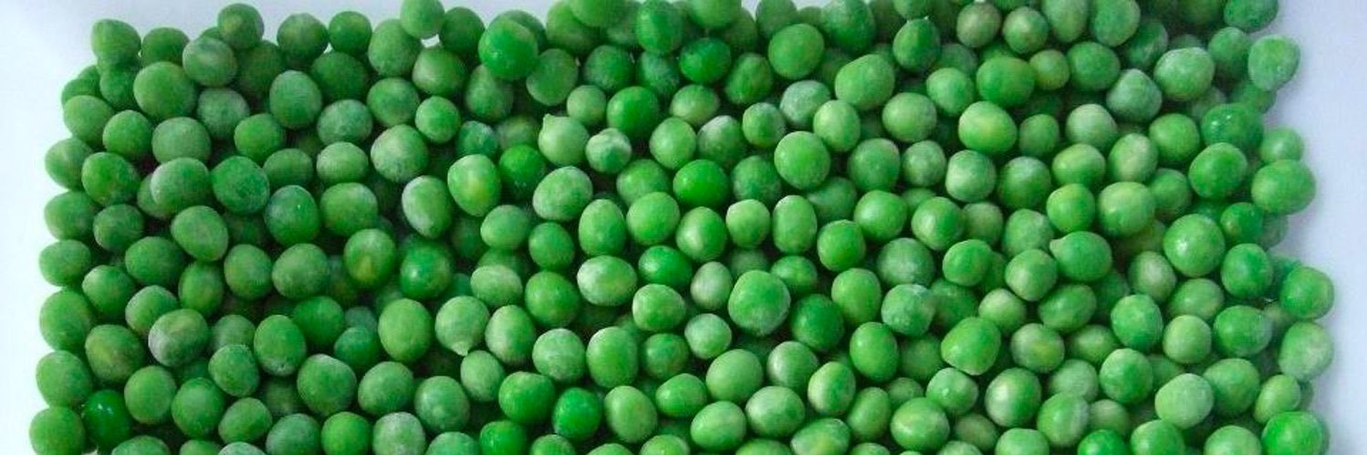 Gurvinder Kaur banner