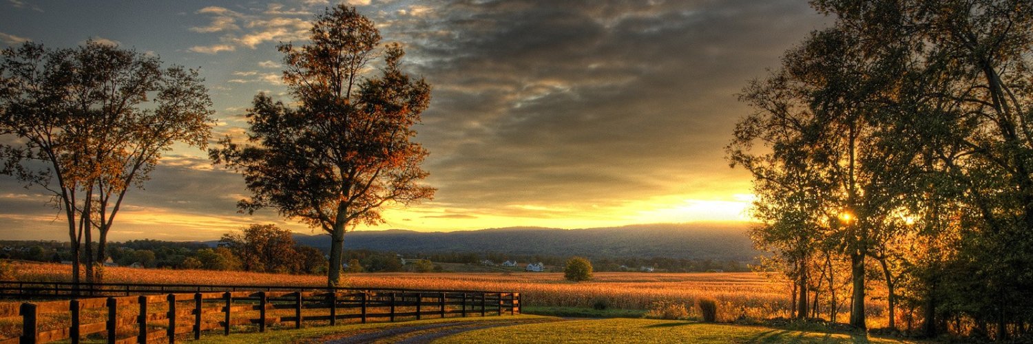 mort_laitner's profile banner image