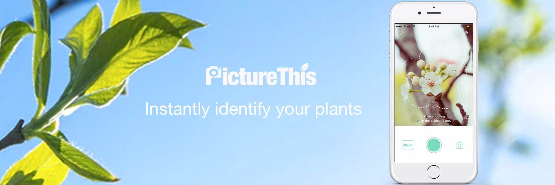 PictureThis banner