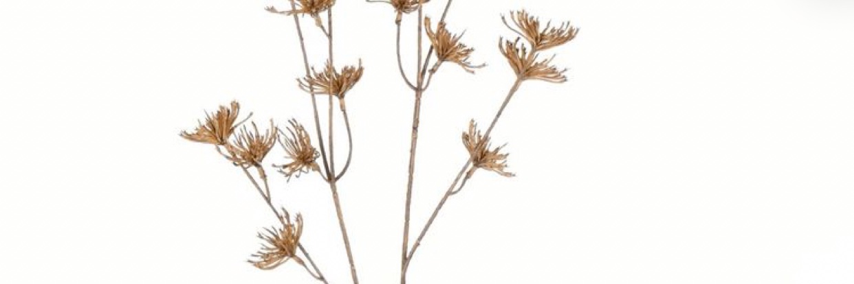 k_matro's profile banner image