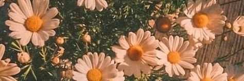 m𝕚𝕝𝕚 banner