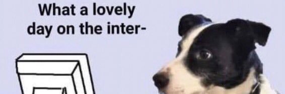 Cam Ward SZN 🫢🫳🏾🫳🏾⚔️⚔️ banner