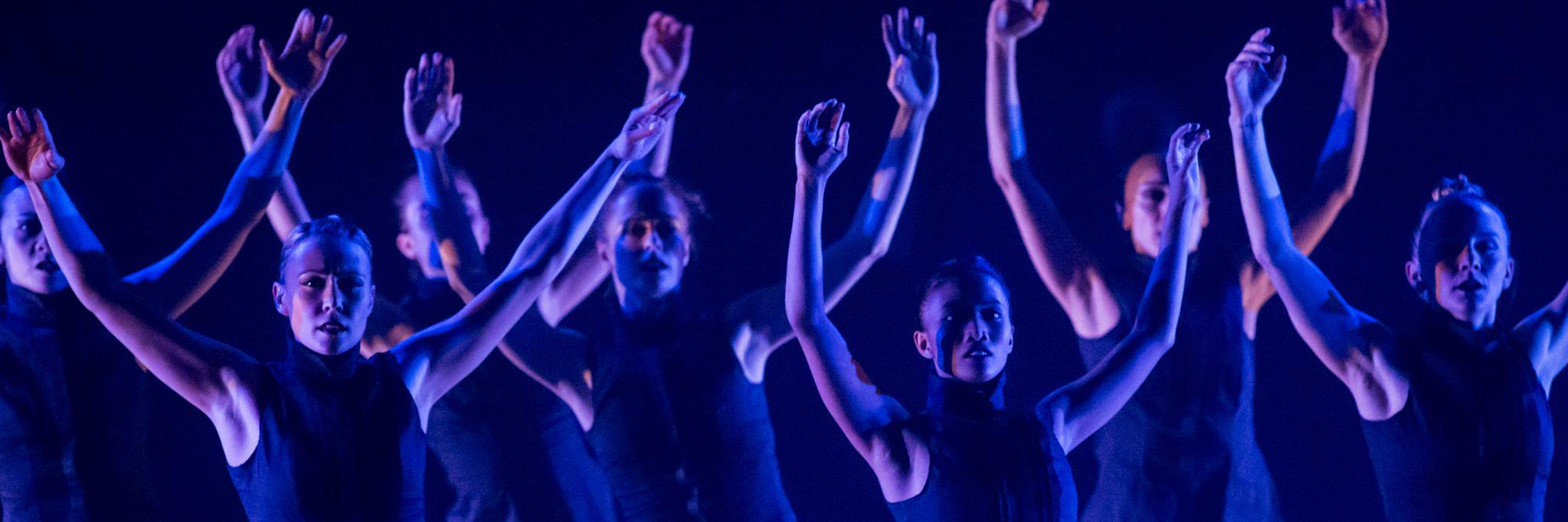 Koresh Dance Company banner