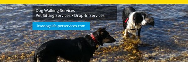 Itsadogslife30 Profile Banner