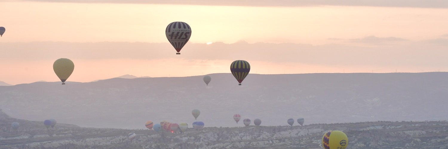 aysegulerhan's profile banner image
