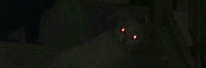 m banner