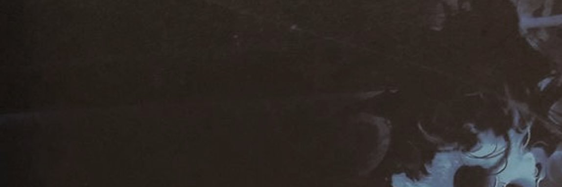 stereoRYZEmusic's profile banner image