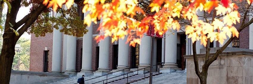 Roman Pletter banner