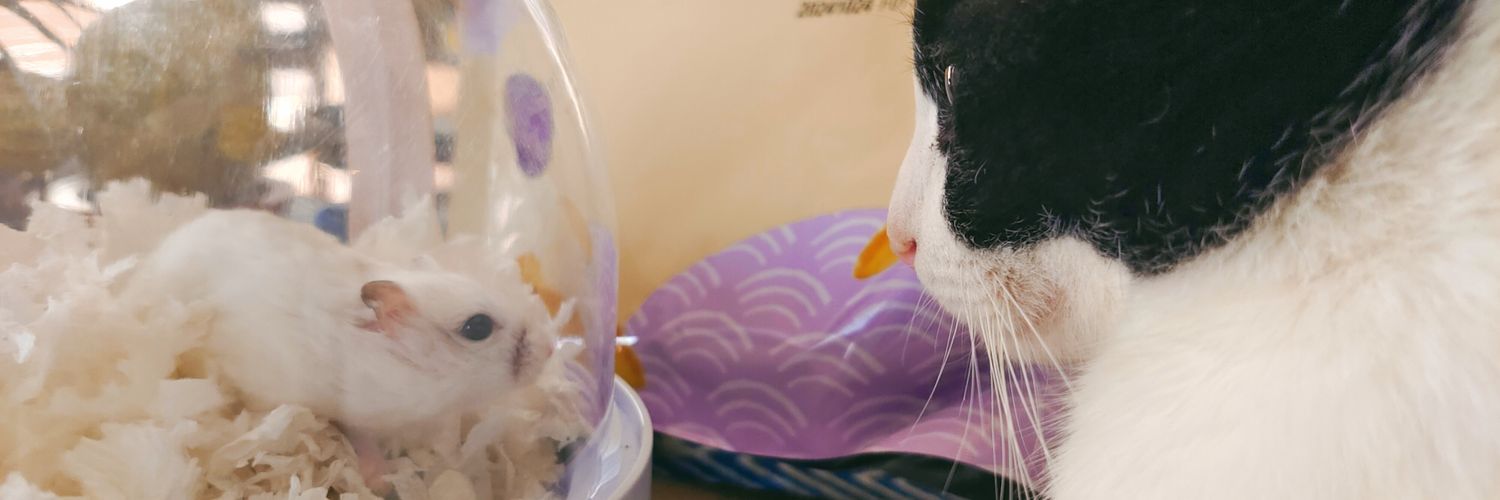 maru_210's profile banner image