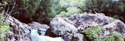 Marce banner