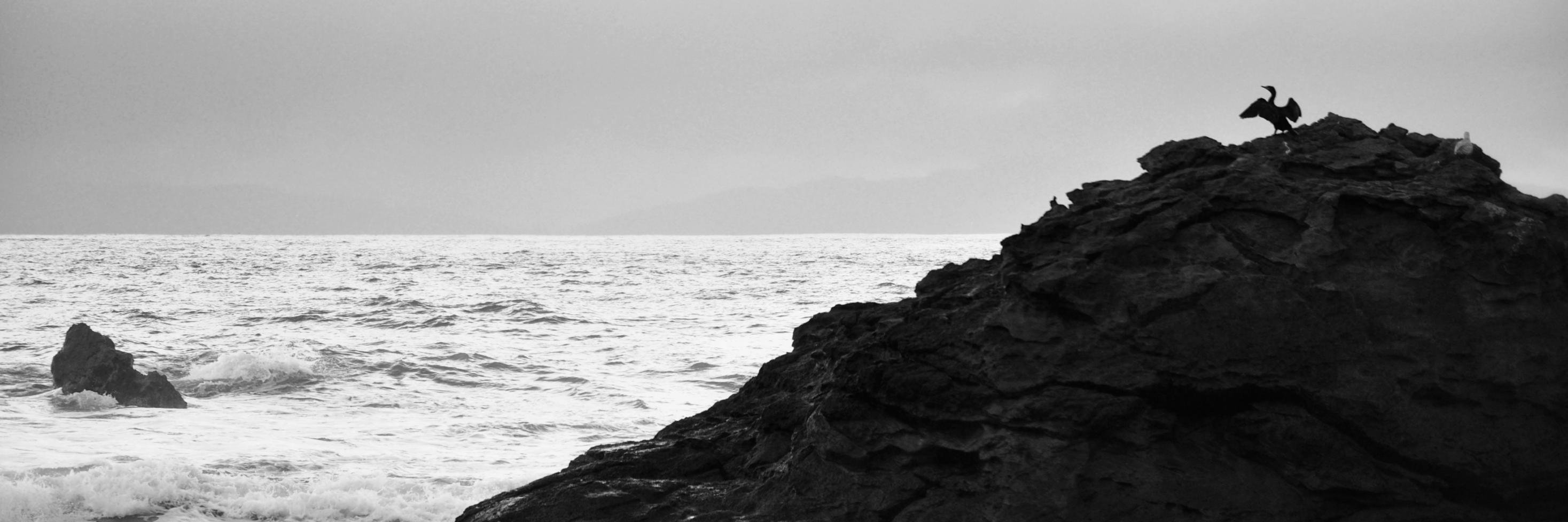 doyl_in's profile banner image