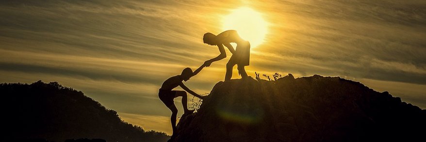 Susan Regnier banner