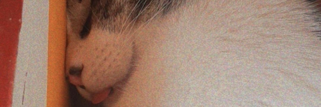 HotmLeidy's profile banner image