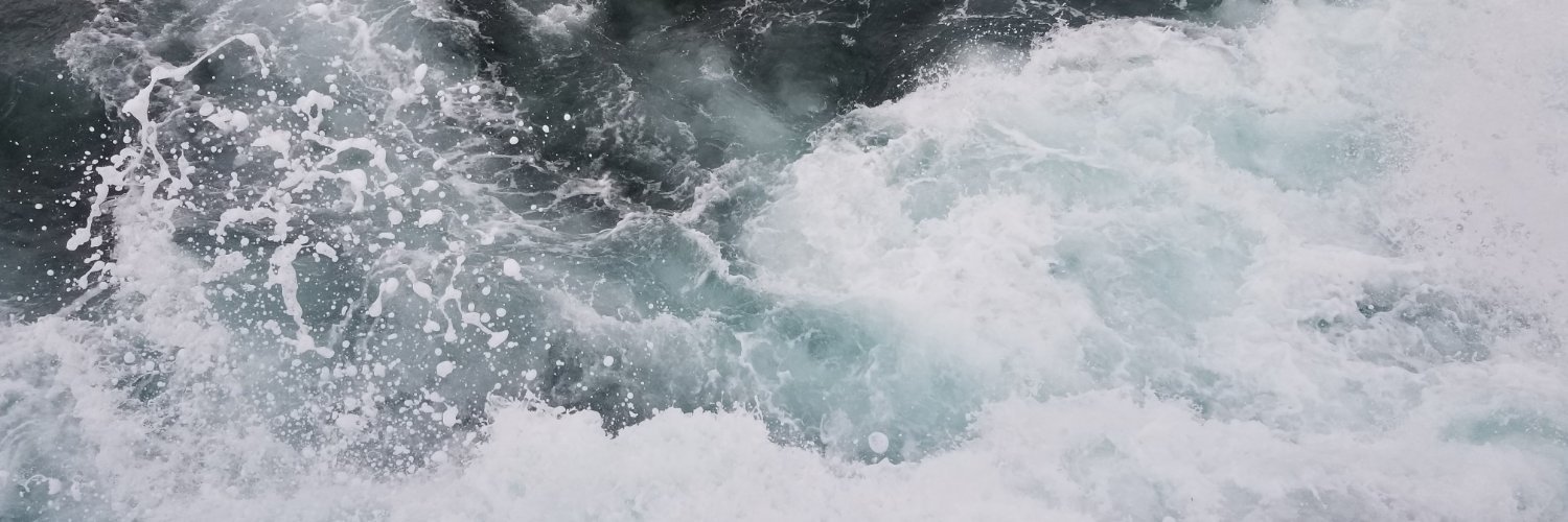 LuisTrees's profile banner image