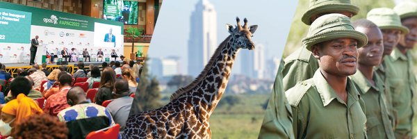 AWF_Official Profile Banner