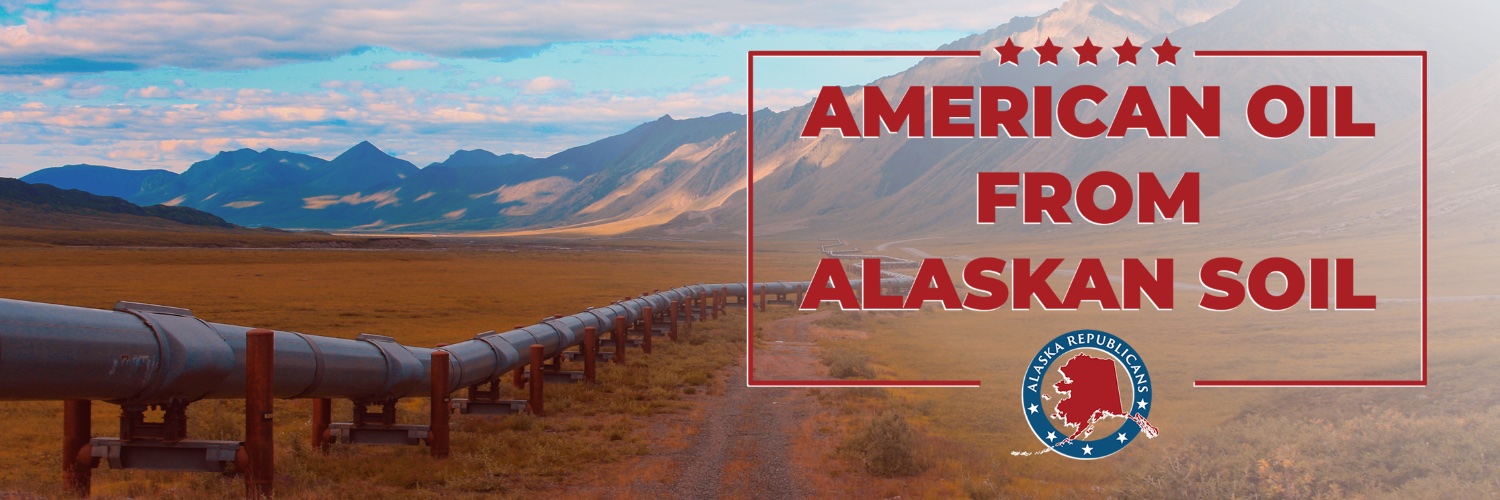 Alaska GOP banner
