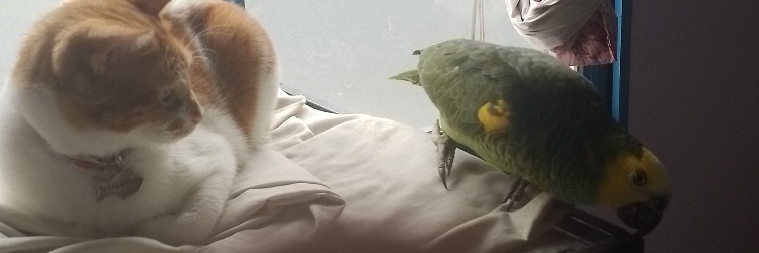 Leandro Alvarez banner