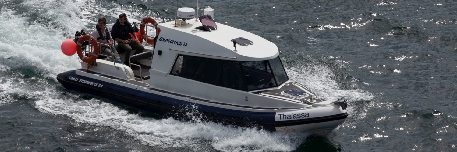 BlueWild Boats banner