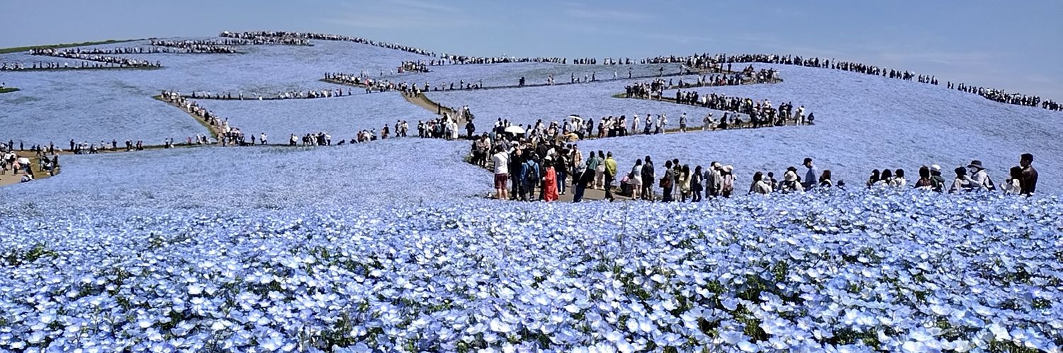 尾瀬名「おぜな」 banner