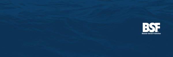 BSF_Corp Profile Banner