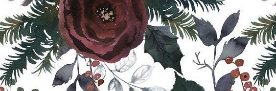 moopgenorth's profile banner image