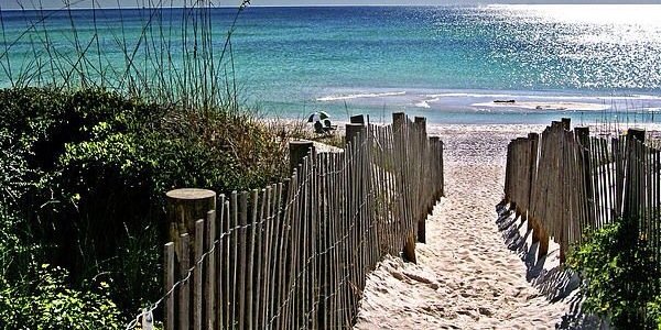 alishia moran banner