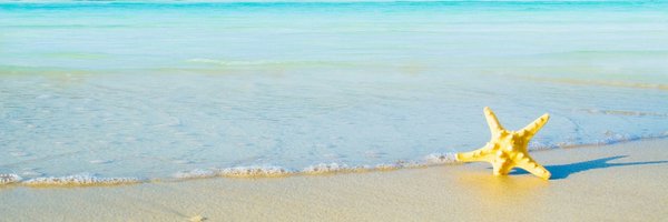 msgishwhs Profile Banner