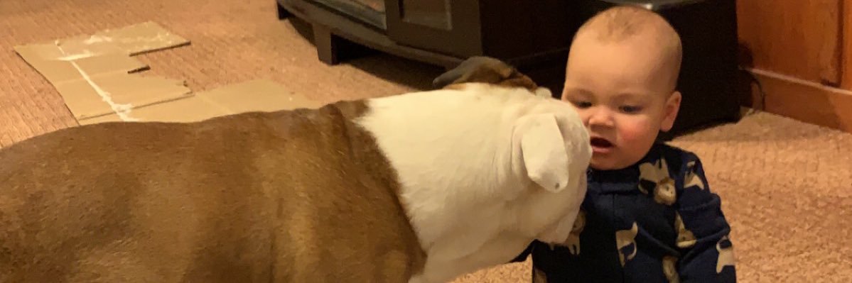 bubbamead's profile banner image