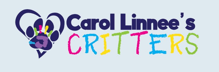 MsCarolLinnee's profile banner image