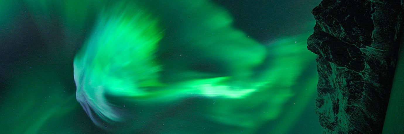 Rosalind Benoit banner