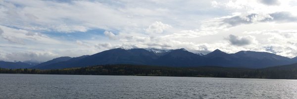 RuthKnightPhD Profile Banner