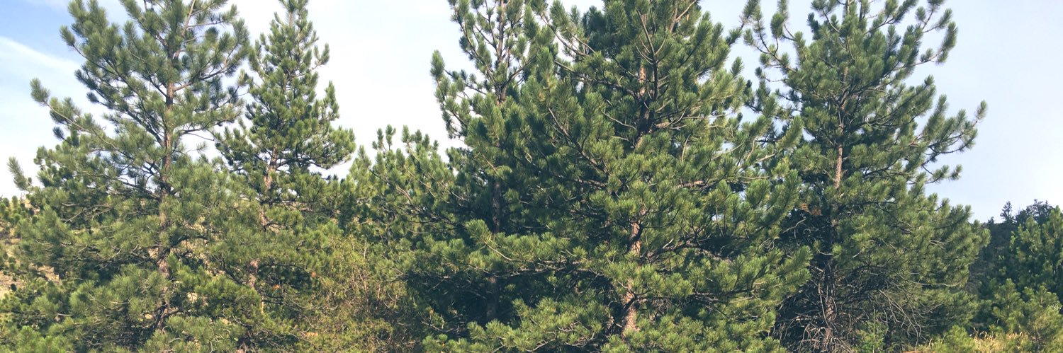 drebrooks4's profile banner image
