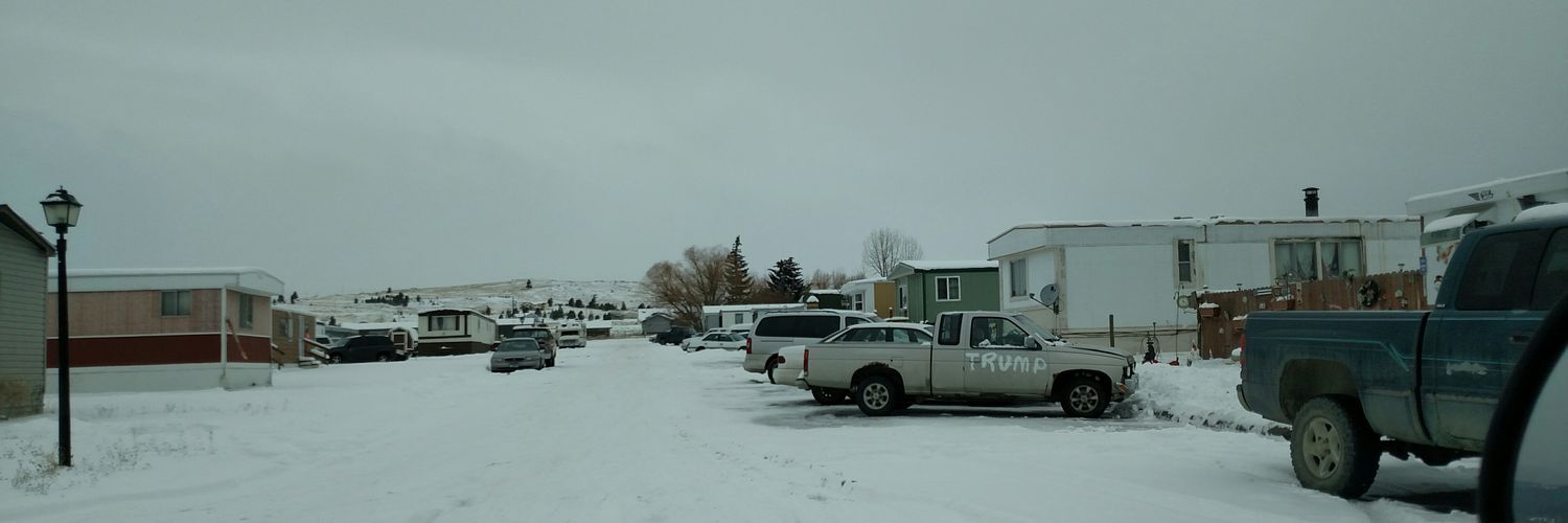 Professional Anarchist banner