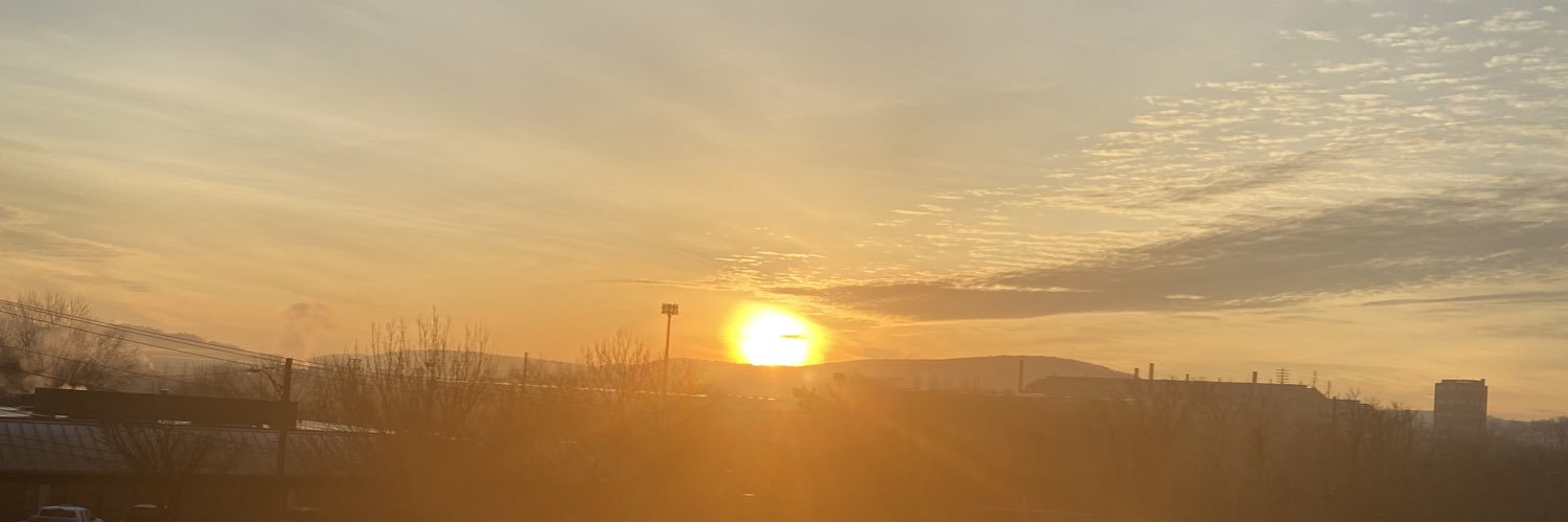 Melanie Wilson banner