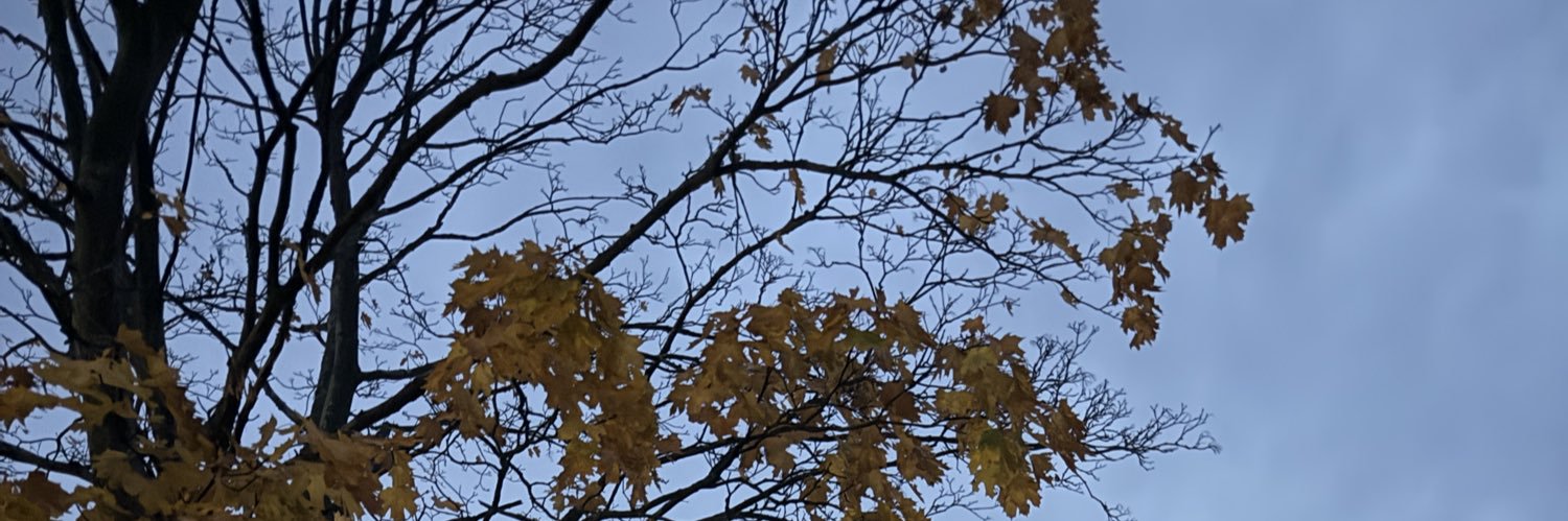 vu0kw's profile banner image