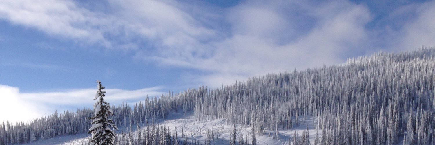 BronKyle's profile banner image