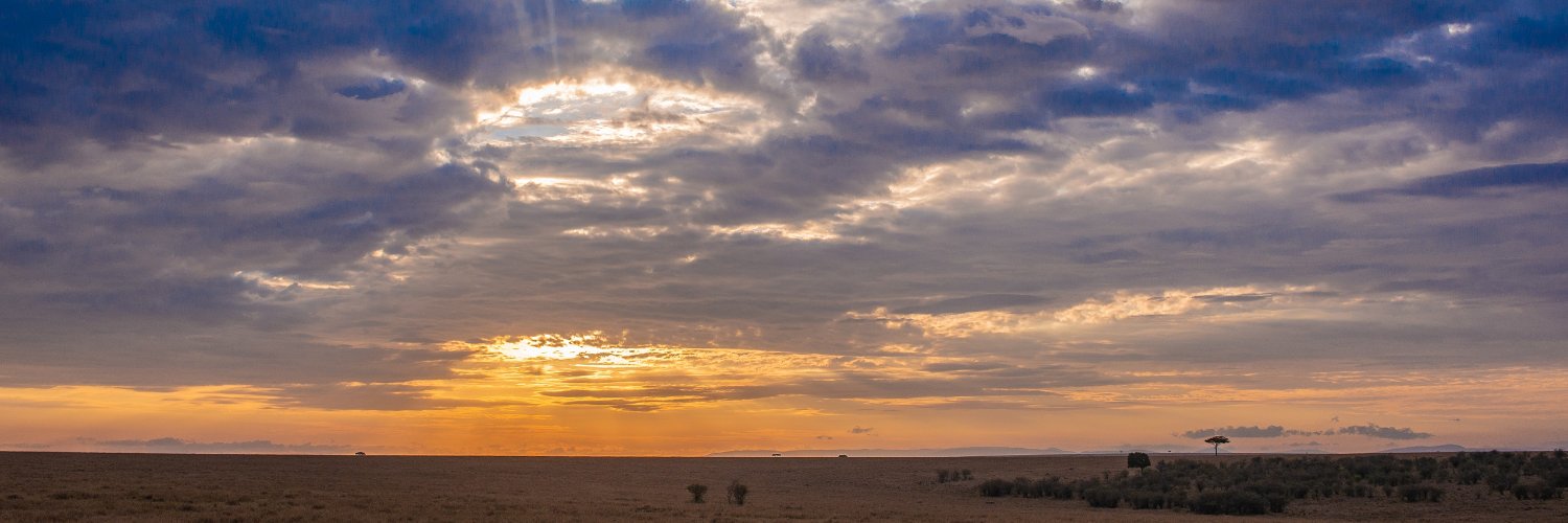 Bitsu Haddish 💜 banner