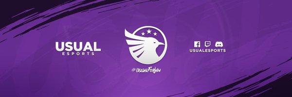 Usual Esports Profile Banner