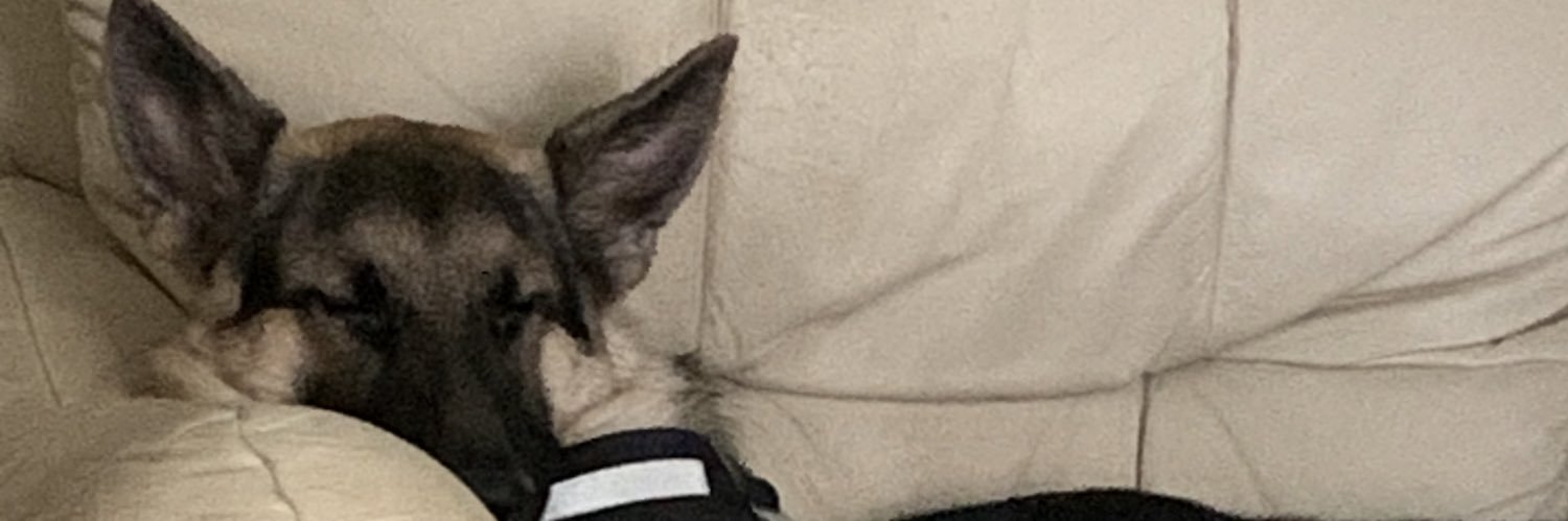 Andy James banner