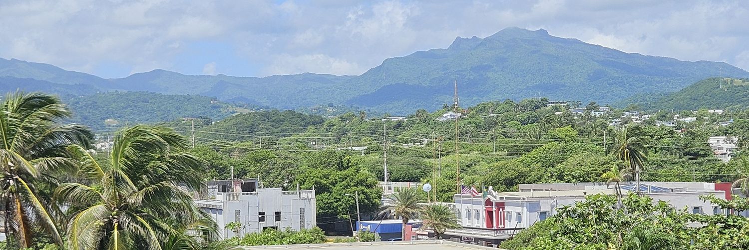 Madame Defarge 🧶🪡 banner