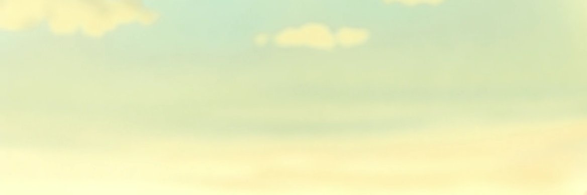 sheebies ⚔️🍶 banner