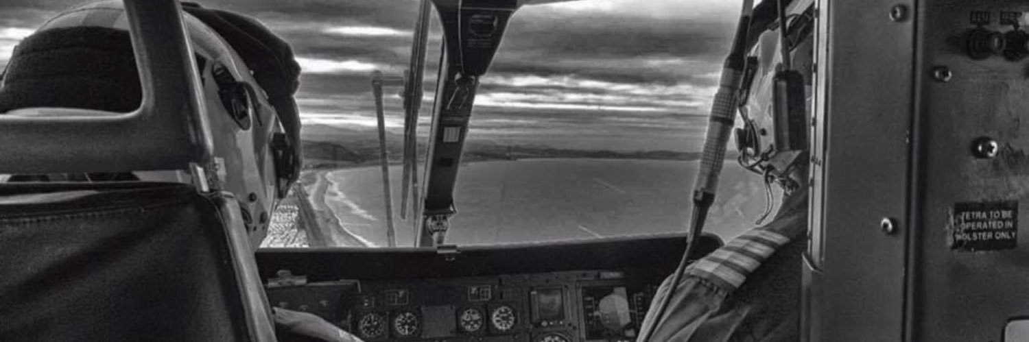 Flying Pig 🚁 banner