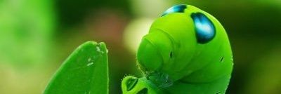 wanida_43's profile banner image