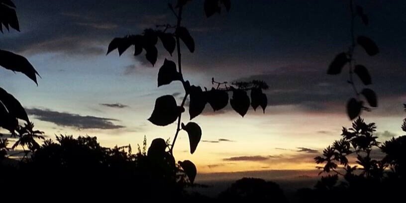 Jonaldean's profile banner image