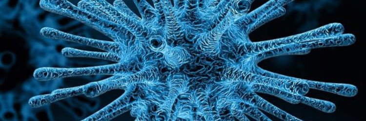 dorsetvisualart's profile banner image