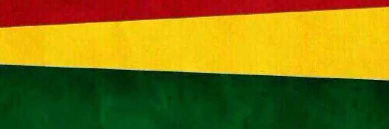 Leobronk's profile banner image
